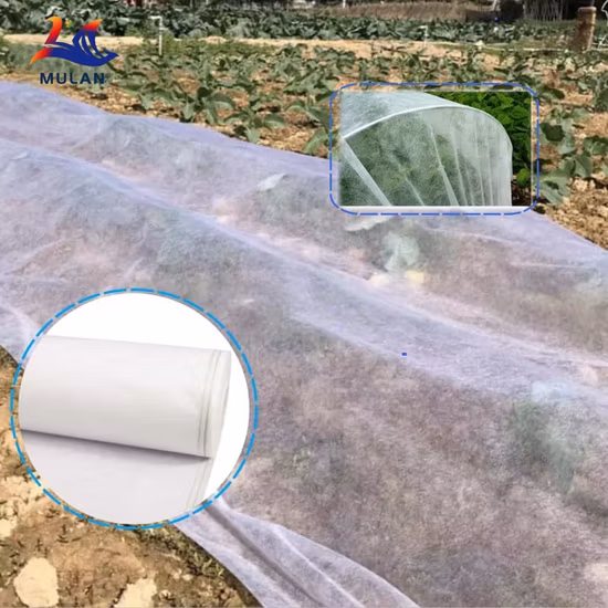 17g PP Spunbond non tissé pour la couverture agricole